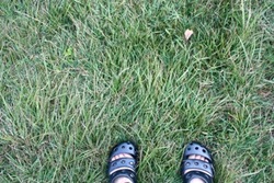 IMG_6896 01-02-05.jpegのサムネール画像